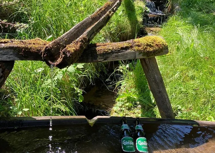 Traumblick In Gmuend 公寓 *